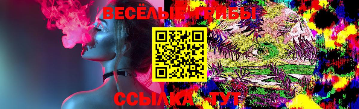 Псилоцибиновые грибы Psilocybe Осинники