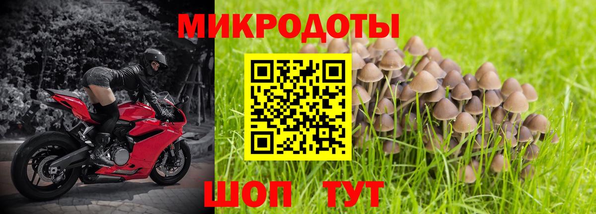 Осинники  Псилоцибиновые грибы MAGIC MUSHROOMS  Вход с VPN  Галлюциногенные грибы мицелий 